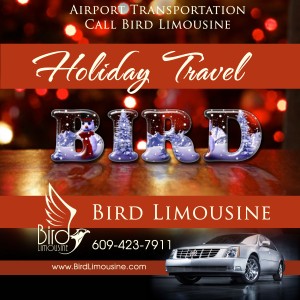 Bird Gallery limo service to airport