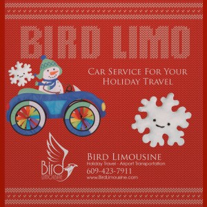 Bird limousine holiday travel